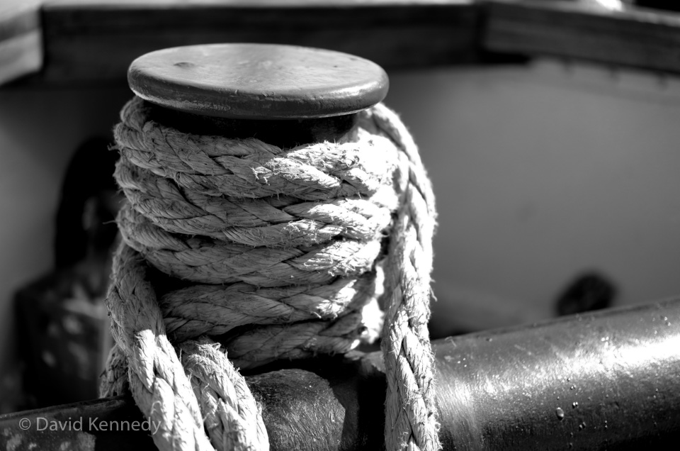 Cruise Cancellation June 23, 24, 25